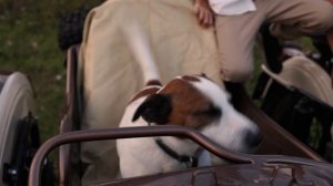 Фотосессия август 2025.mp4