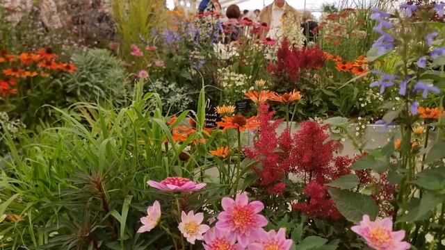 САДЫ БРИТАНИИ. ФЕСТИВАЛЬ ЦВЕТОВ  В ХАМПТОН КОРТ 2025 ЛОНДОН  Hampton Court Garden Show 2025 London