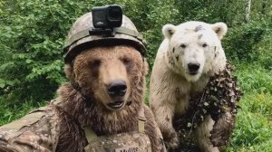 Влог косолапого.Все серии