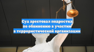 Суд арестовал подростка по обвинению в участии в террористической организации