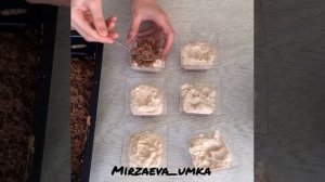 -8486001071040627441