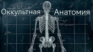 Оккультная анатомия