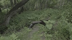 Мощный источник у реки Казанла между селами Казанла и Хватовка. 9 июня 2024 г.