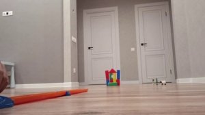 Играем в МАШИНКИ. Видео для малышей.