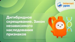 Дигибридное скрещивание. Закон независимого наследования признаков. Видеоурок по биологии 10 класс