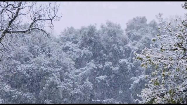 Виктор Горшков. Снегопад.  Victor Gorshkov. Snowfall