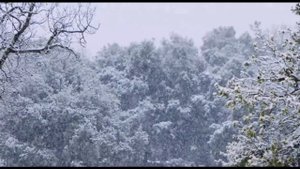 Виктор Горшков. Снегопад.  Victor Gorshkov. Snowfall