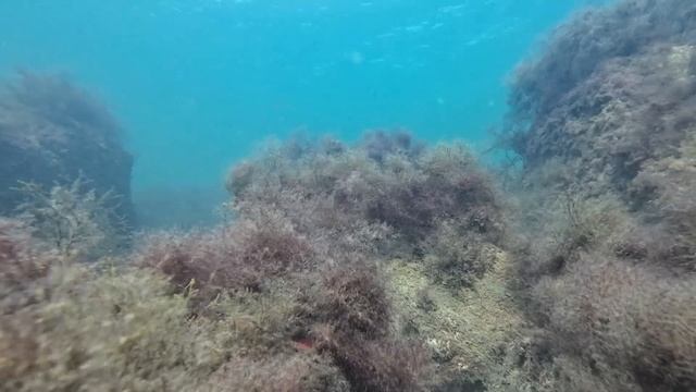 Черное море в сентябре. смотреть онлайн