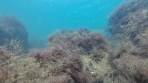 Черное море в сентябре.