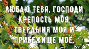 Бог мой Ты скала моя - минус мой 4
