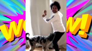 ПРИКОЛЫ НА ЛЮБОЙ ВКУС: СМЕШНЫЕ ВИДЕО ДЛЯ ВСЕХ