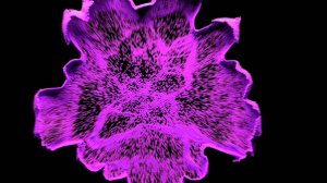 Particle_advection. Практика.
