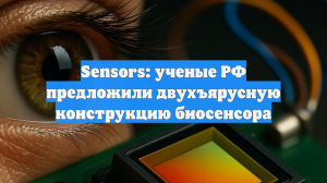 Sensors: ученые РФ предложили двухъярусную конструкцию биосенсора