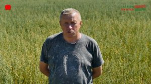 Работа полностью по Схемам "КЛЮЧ К ЭФФЕКТИВНОМУ ФОТОСИТЕЗУ" Часть 2