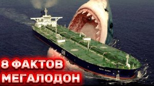 МЕГАЛОДОН ЖИВ - 8 фактов о Мегалодоне