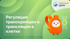 Регуляция транскрипции и трансляция в клетке. Видеоурок по биологии 10 класс