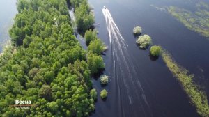 🌱Весна на реке