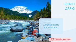 Благодарю за внутренние силы, которые помогают справляться разными ситуациями!