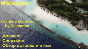 Мальдивы. Дайвинг, снорклинг и обзор острова Ellaidhoo Maldives.
