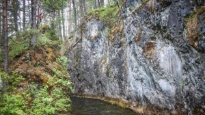 Поездка на реку Талица.avi