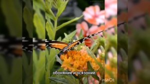 Благодарю за технологии!