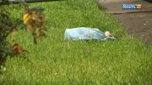 В Кургане из окна многоэтажки выпала многодетная мать
