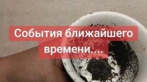 💖💓💝🌹89028257779💞🥰💗💕