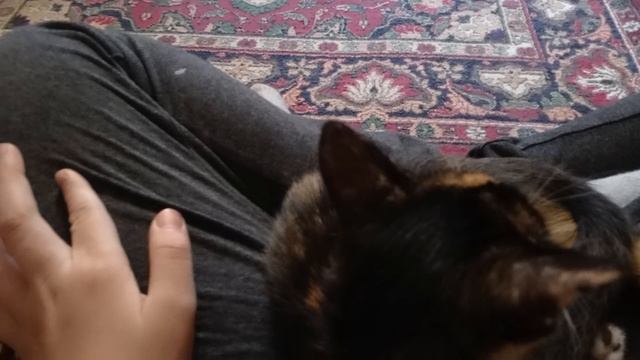 объявление смотреть онлайн