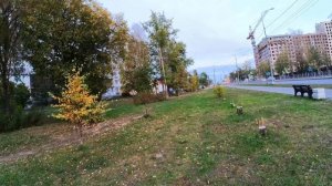 Прогулка по Архангельску с Аней. Ленинградский. Октябрят. Рабочая. Абрамова. Галушина. 15.09.2025