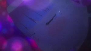 💖Новый трейлер аниме по манге «Ватари на грани краха»  Ромком о мальчике, который живет со своей