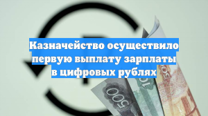Казначейство осуществило первую выплату зарплаты в цифровых рублях