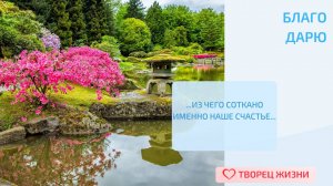 Благодарю за возможность созерцать прекрасное!