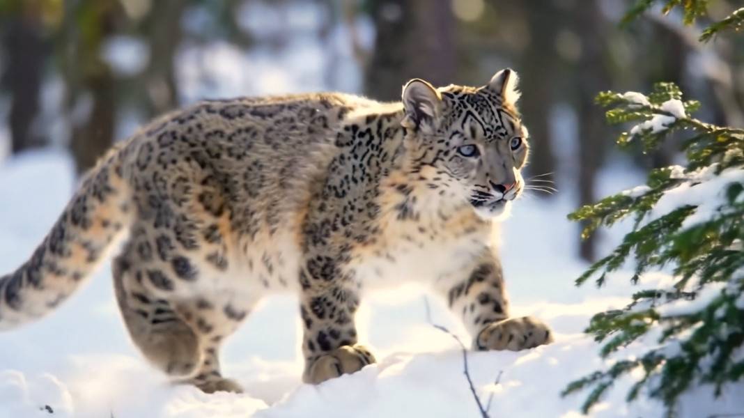 Тихая, спокойная, музыка отдыха от повседневной суеты.