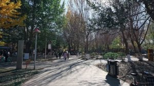 Прогулка по Шэньяну - секреты, легенды и атмосфера китайского города