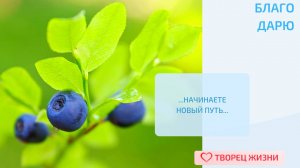 Благодарю за возможность менять свою жизнь в лучшую сторону!