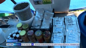 Жительница Прокопьевска нашла уникальный рецепт сухого пайка для бойцов на передовой