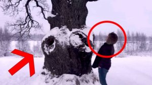 ⚡ История ПИ: Свидетели Потопа ...