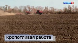 В полях Донецкой Народной Республики начался сев озимой пшеницы