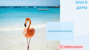 Благодарю за возможность любить и быть любимой!