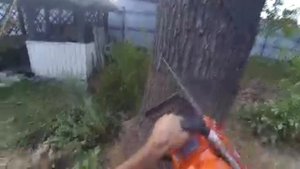 Валка большого дерева, эпизод 3, день четвертый