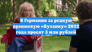 В Германии за редкую оранжевую «Буханку» 2022 года просят 3 млн рублей