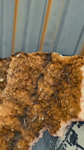 Дом из контейнера #домизконтейнера #утеплениеконтейнера #стройка #контейнер #строительство смотреть онлайн