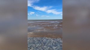 Вместо воды - медузы: появились редкие кадры с побережья Азовского моря