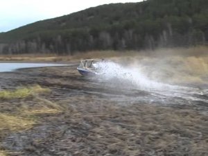 GatorTail 35 по болоту в протоках ЕНИСЕЯ
