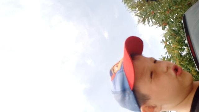 показ