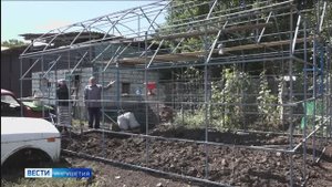 Фермеры Ингушетии вносят весомый вклад в развитие аграрной отрасли республики