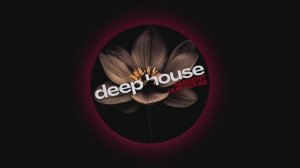 Deep House Mix ⧸ Dub Tech Rhythms