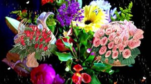 С Днём Рождения! Букеты роз от Киностудии Мудрого Кота Тимофея!