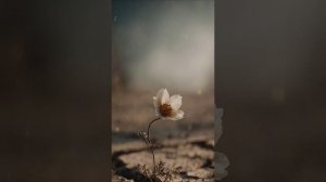 "ОЧНИТЕСЬ ЛЮДИ!!!" (сл. и муз.Анны Желудковой).mp4