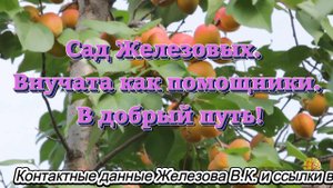 Сад Железовых. Внучата как помощники. В добрый путь!